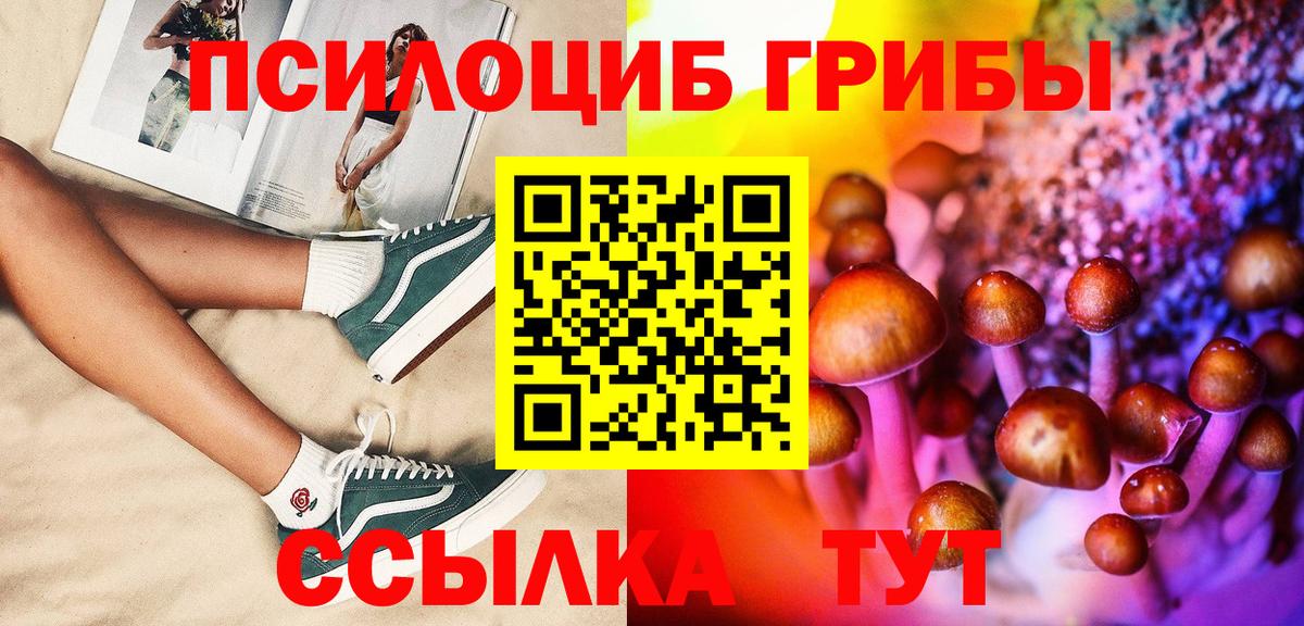 Галлюциногенные грибы GOLDEN TEACHER Курчатов